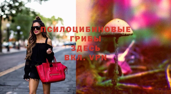 кокаин Алексеевка