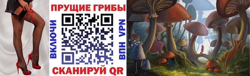 Галлюциногенные грибы MAGIC MUSHROOMS Ахтырский