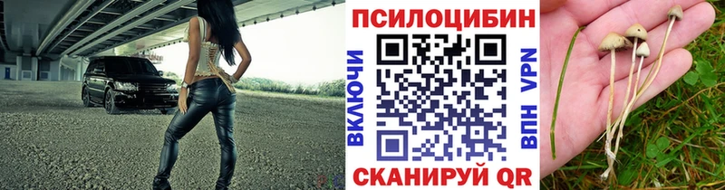 Галлюциногенные грибы мицелий  KRAKEN tor  Ахтырский 